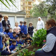 Laboratorio Semina Fragole